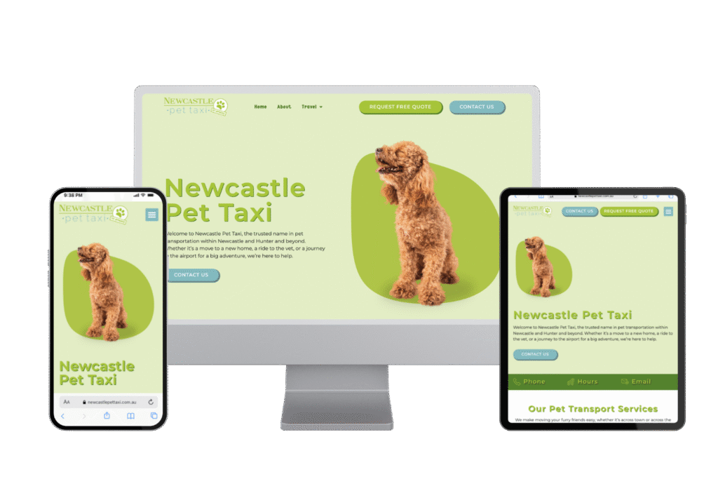 Pet Taxi page view different perspective